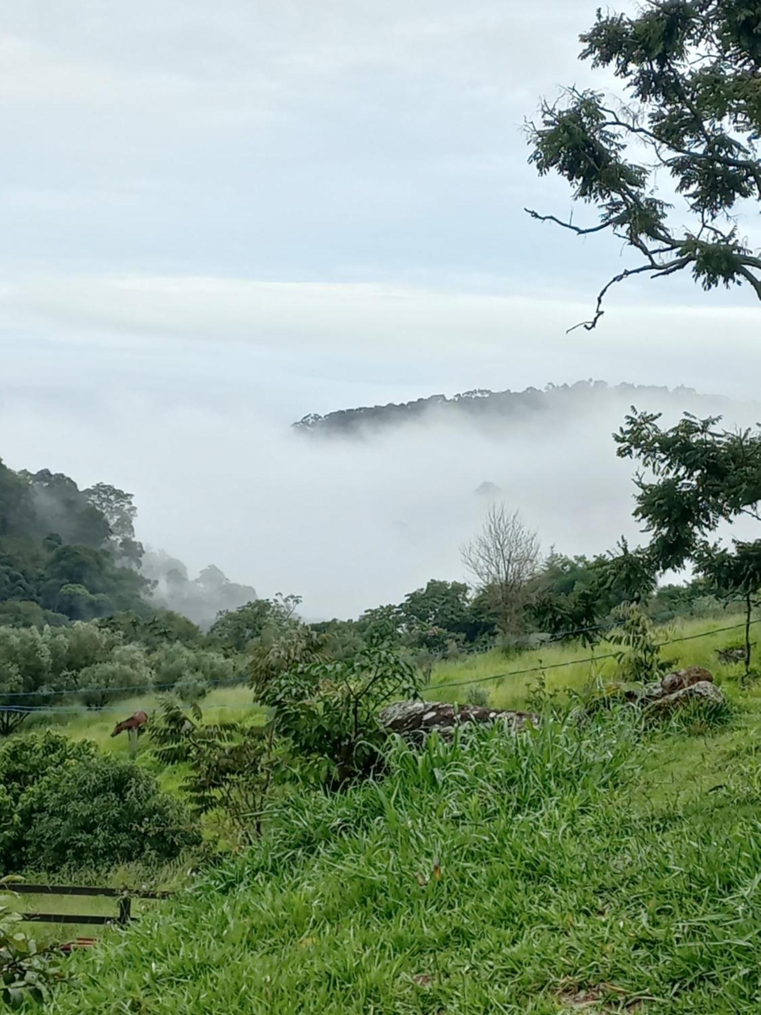Chale Araucaria- Vale Das Pedras Mg Sapucai-Mirim Εξωτερικό φωτογραφία